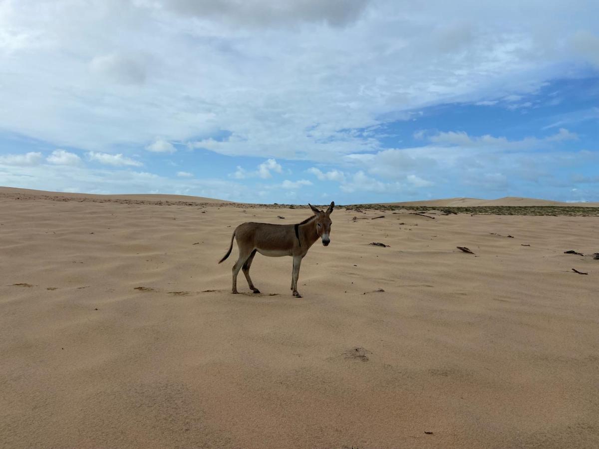 Casa Jasmin Villa Jijoca de Jericoacoara Exteriör bild